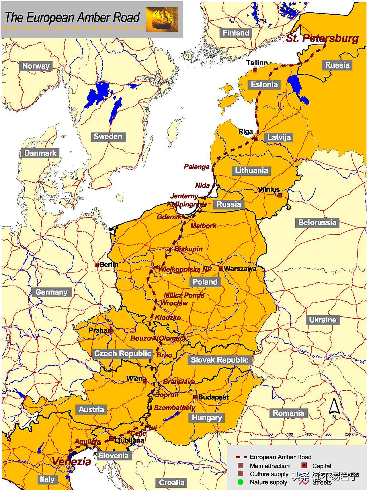 美丽背后更多是辛酸,美丽背后的辛酸