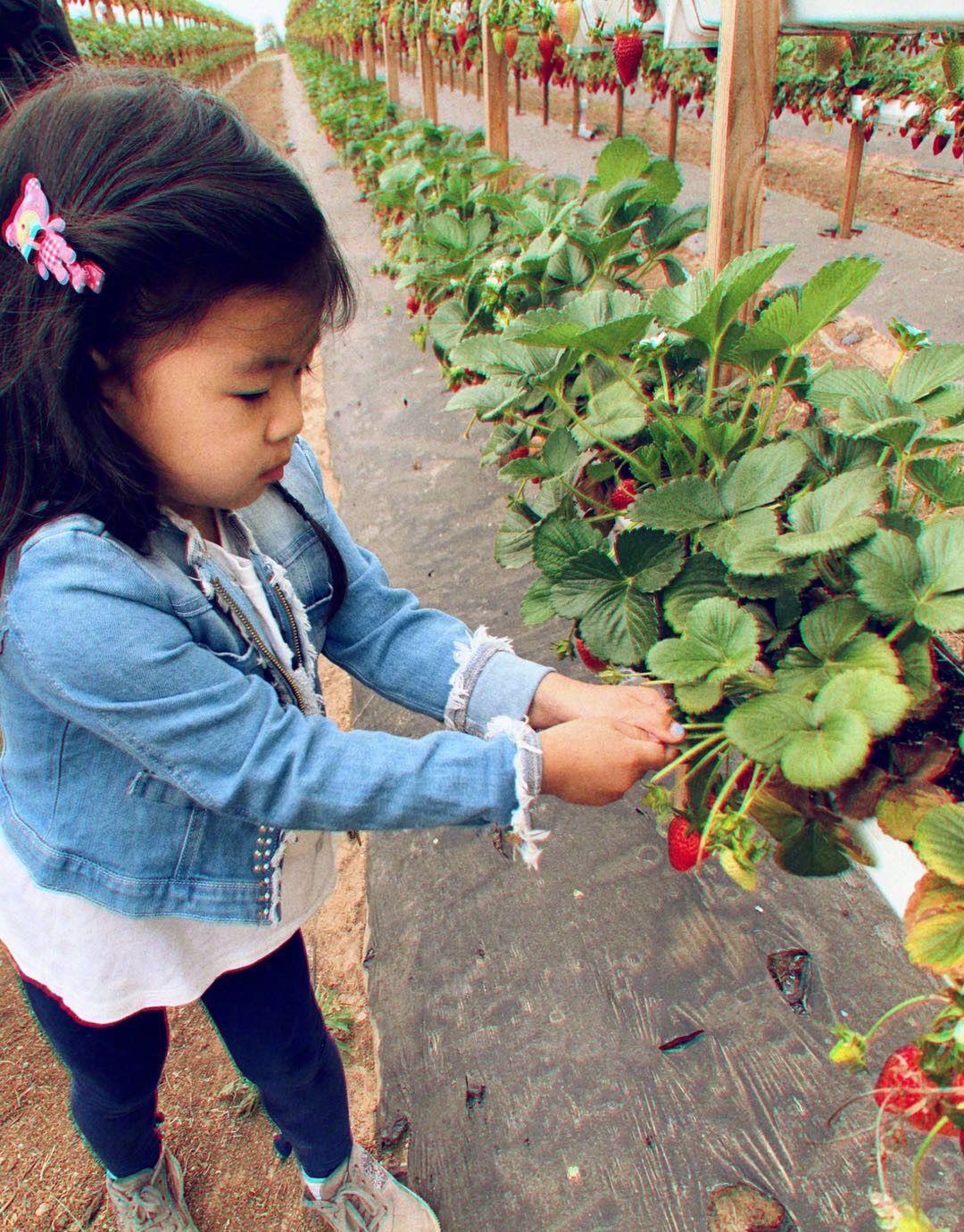 章子怡生二胎后醒醒跟汪峰对话,章子怡生产后出游