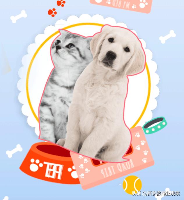 炎黄瑰宝、NBA巡回展、萌宠趴……周末到商场看展去