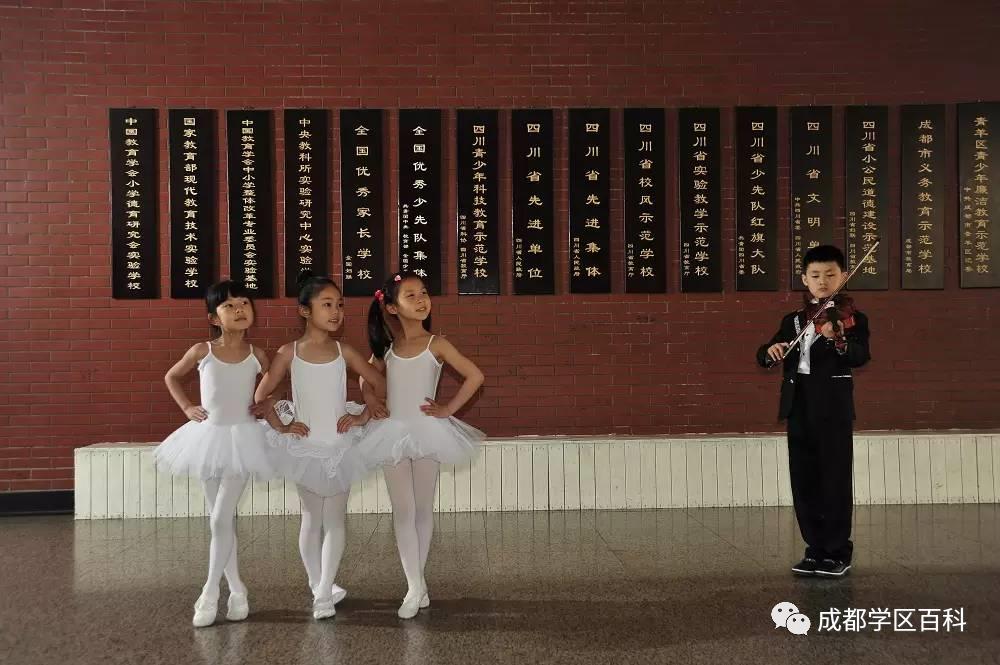 科普五朵金花抖音,成都五朵金花之实验小学