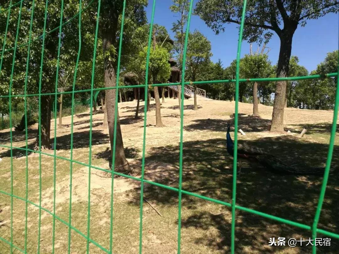 浙江长兴农家乐400元包吃住的民宿,长兴农家乐10月3日到5月三日游