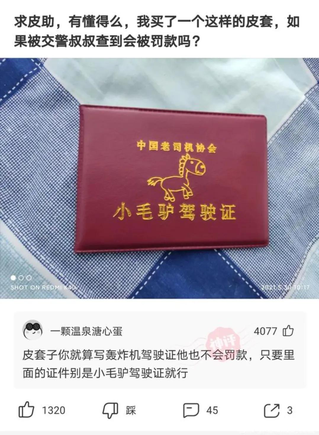 养了三年的兔子淹死了搞笑评论,神评论养了五年的羊