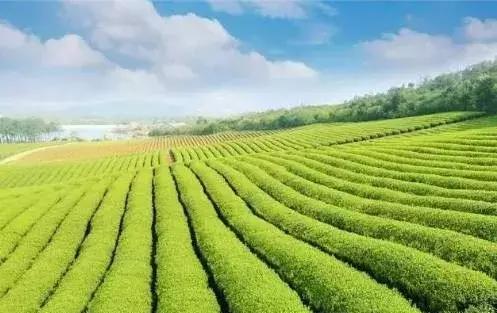 乡村旅游整合方案策划,不同阶段的乡村旅游产业模式