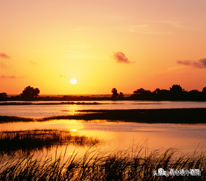 如何一个星期追上女生,跑步如何快速追上别人
