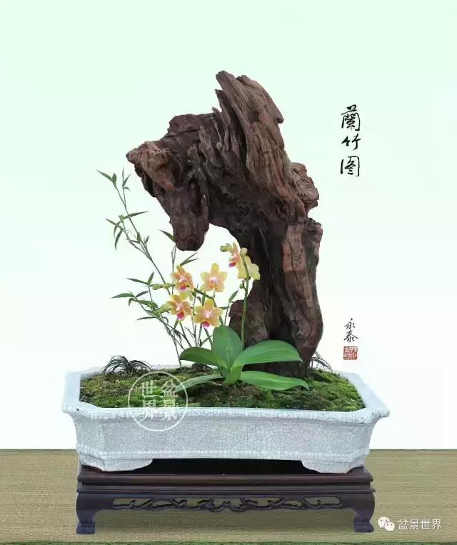 孔子家语芝兰生于深林全文拼音,芝兰生于深林不以无人而不芳翻译