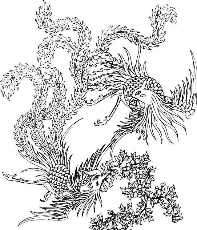 怎样画一个凤凰,怎么画个凤凰