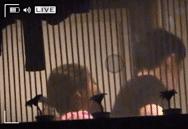 十对婚后幸福的明星夫妻,过得最幸福的11位明星夫妻