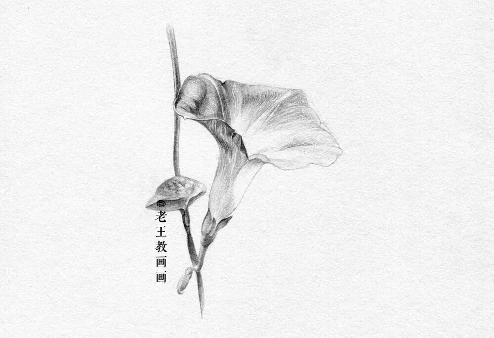 小白学习素描需要准备什么,小白学素描入门教程