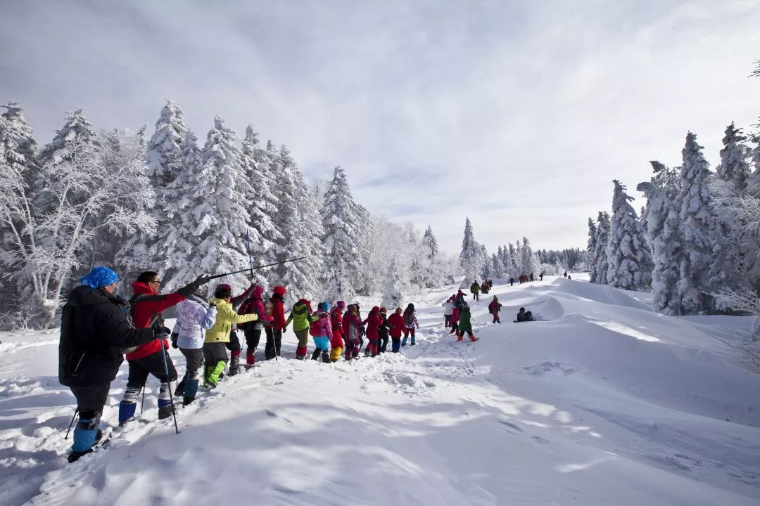 亲爱的黑龙江游客，开往吉林的G48次列车即将启程……