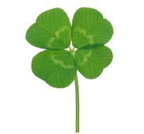 写作描写技巧视频教程,写作方法有哪些细节描写