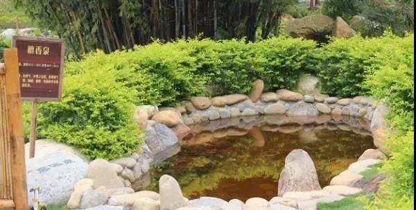 「冬来临·醉温泉」新装怡情谷主楼高级房,早晚2餐+泡38个温泉池