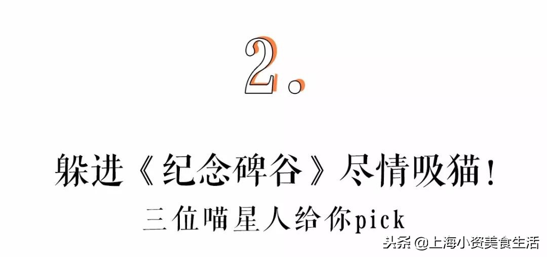 杩涘叆绾康纰戝康纰戣胺,杩涘叆绾康纰戣胺