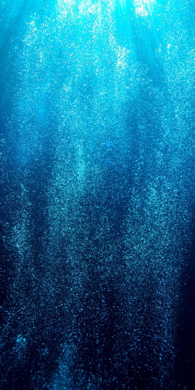 优阿壁纸135期丨分享一组超清晰的海底世界全面屏壁纸