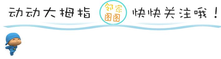 世界上最受欢迎的10种猫咪,最受欢迎的猫咪前5名