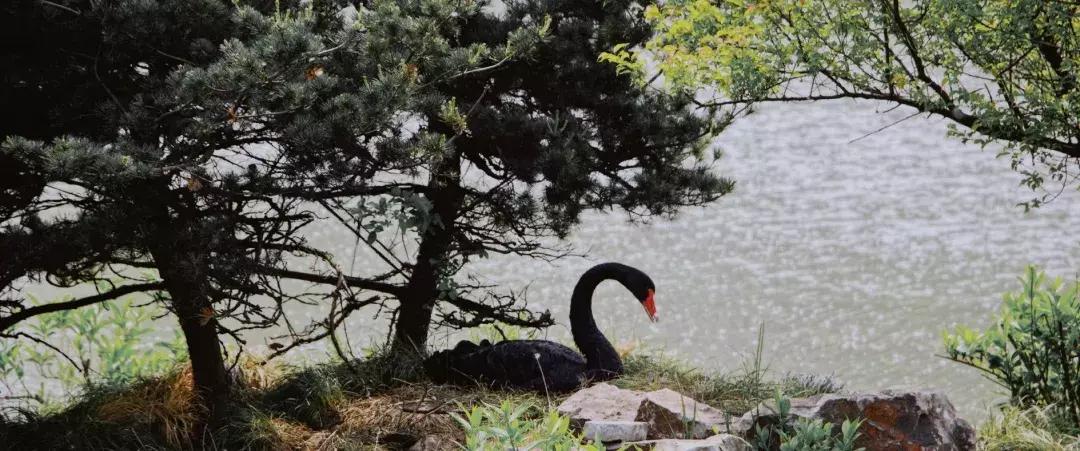 扬州瘦西湖温泉度假酒店照片,扬州瘦西湖温泉度假村照片