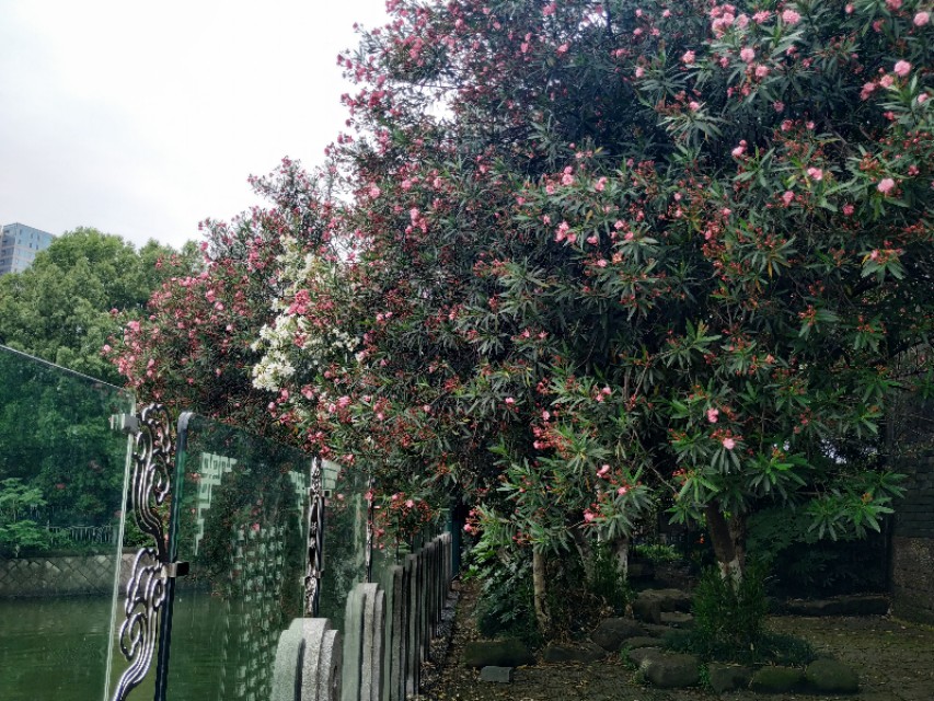 杭州古城门全景图,杭州十大古城门一日游