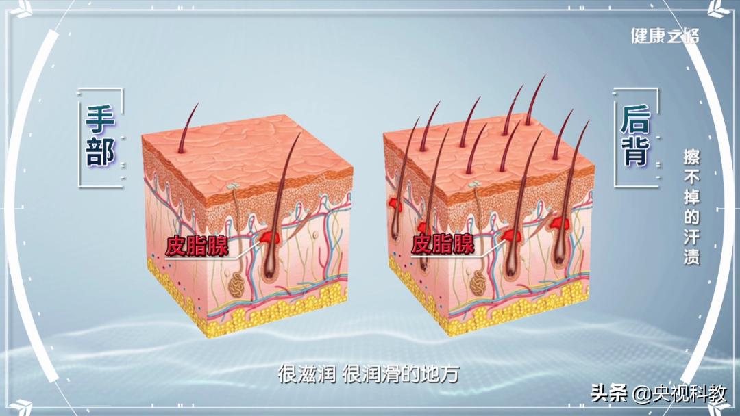 汗斑患病原因,汗斑看什么科