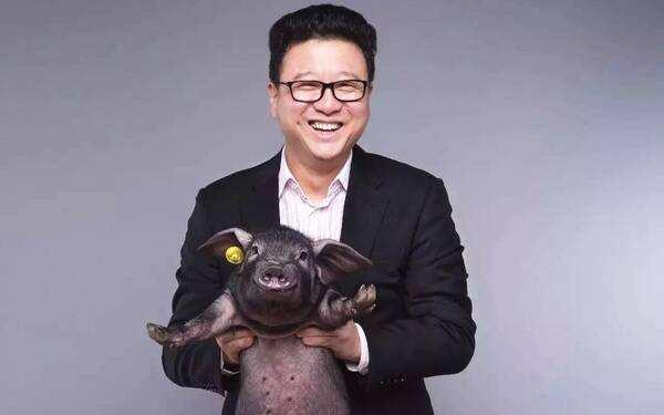 网易丁磊养猪今年赚了多少钱,丁磊创办网易使命