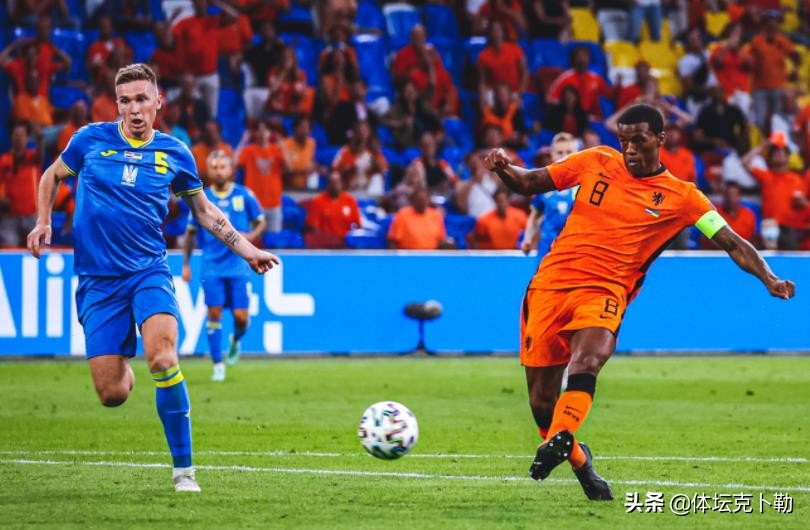 荷兰中卫德波尔,德波尔能否带领荷兰队有所突破