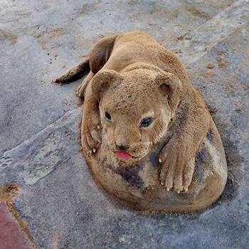 老外沙雕动物视频,外国人沙雕模仿动物