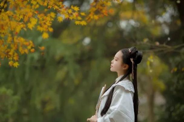 秋风起秋思满分作文,秋风起秋思的作文