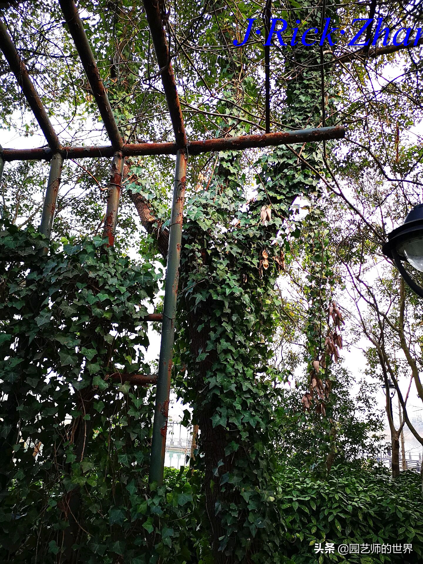 园艺研学报告,园艺园林研学