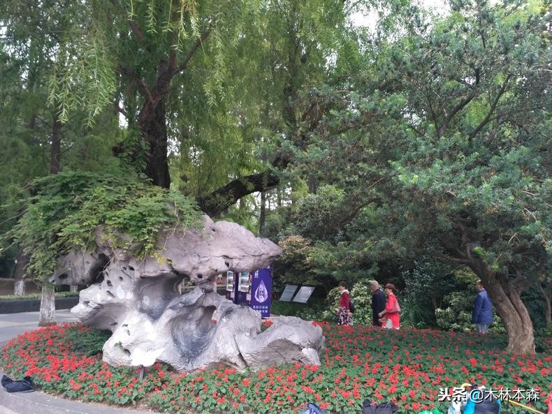 去常州天宁寺拜啥,去天宁寺坐几路车