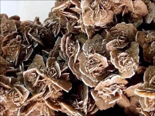 为什么沙漠的石头一定要捡,行走在沙漠为什么看到石头就要捡