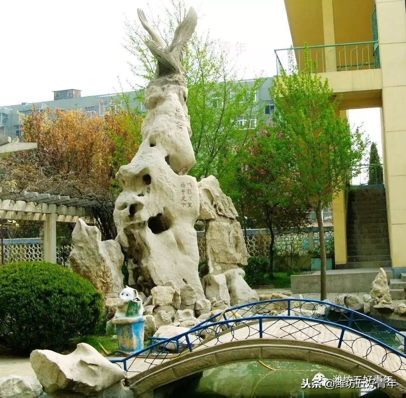 潍坊市第五中学校风,潍坊市第五中学2020级