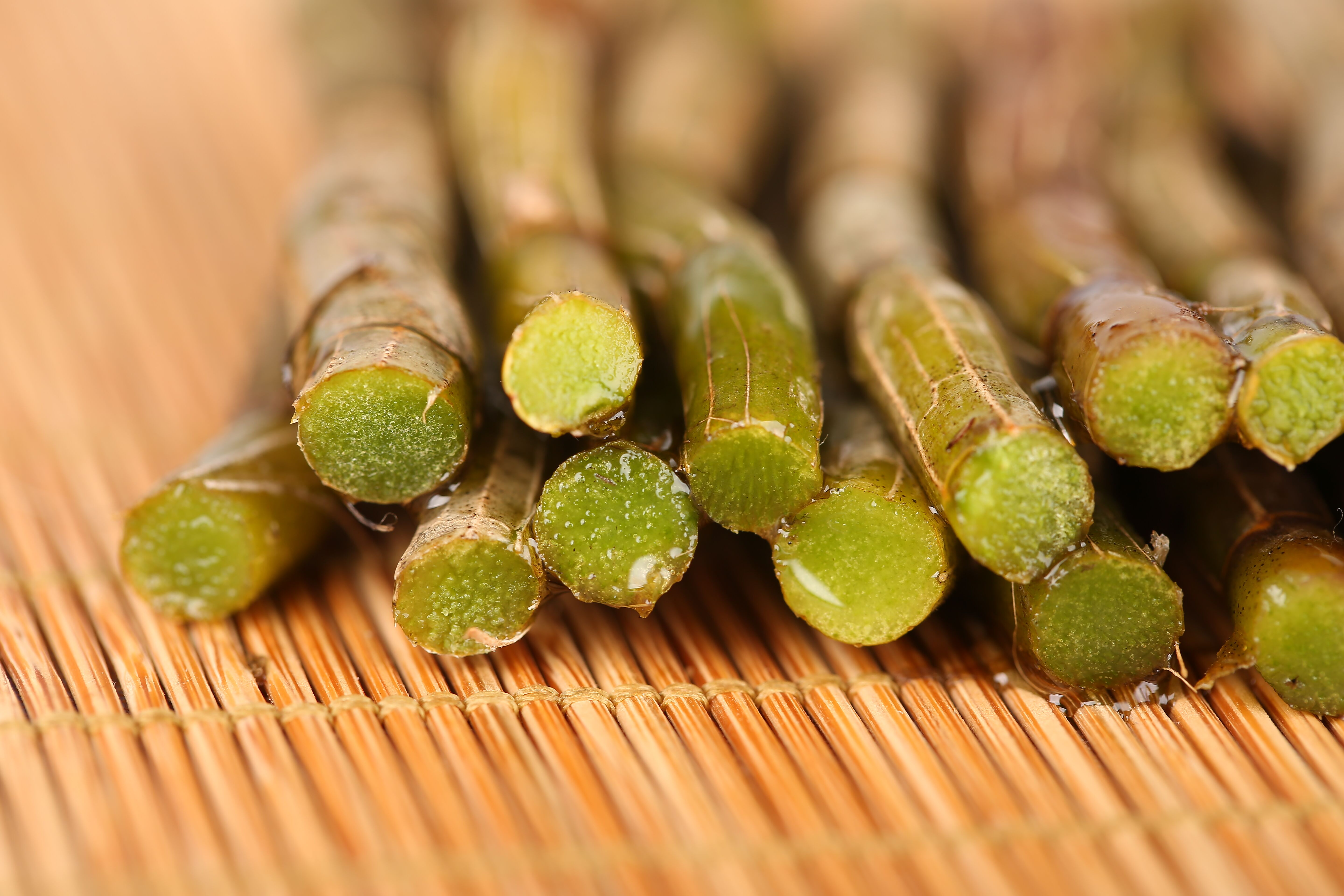 新鲜的石斛要怎么保存,鲜石斛怎样保存比较好