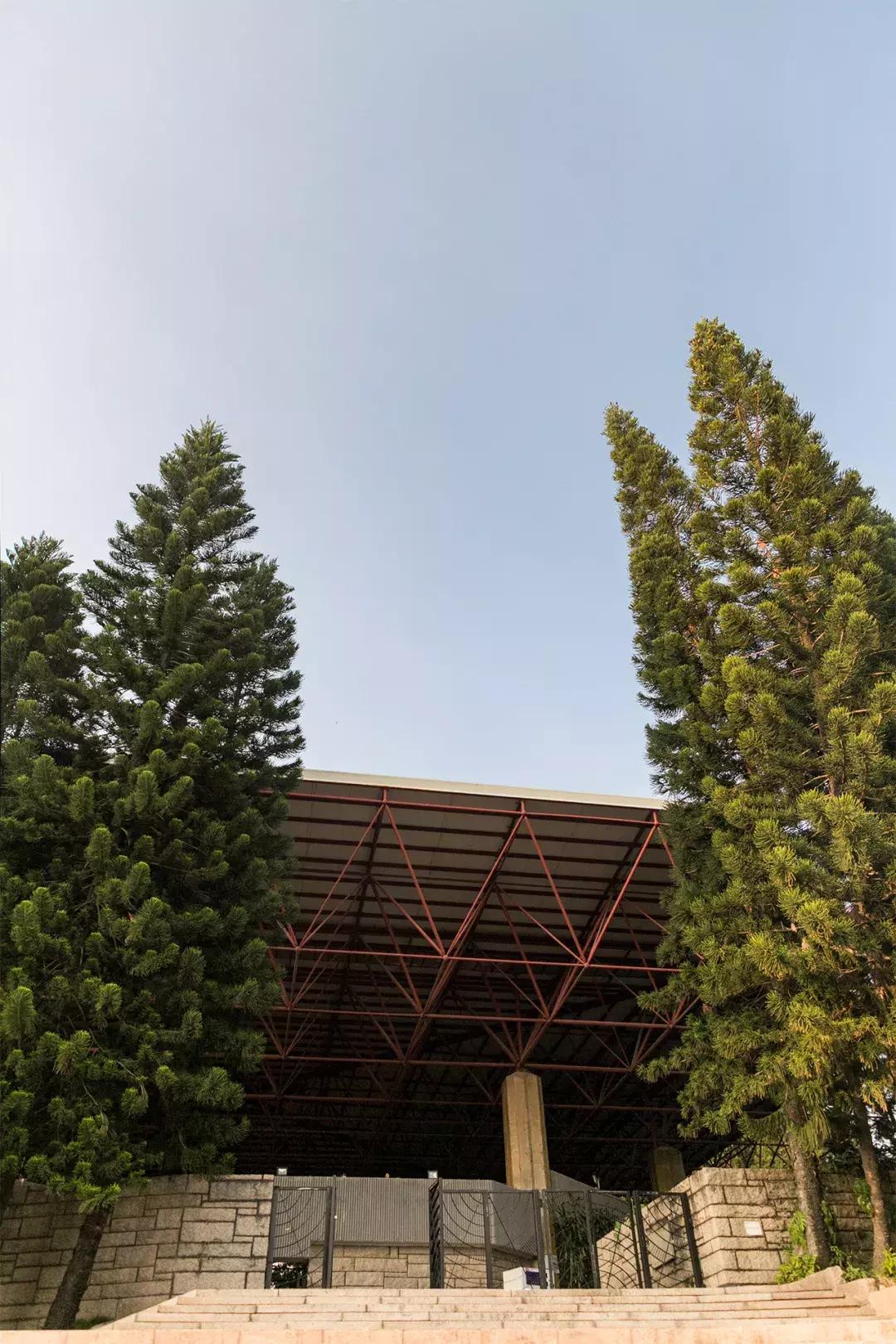 深圳大学游玩攻略一日游,深圳大学打卡攻略