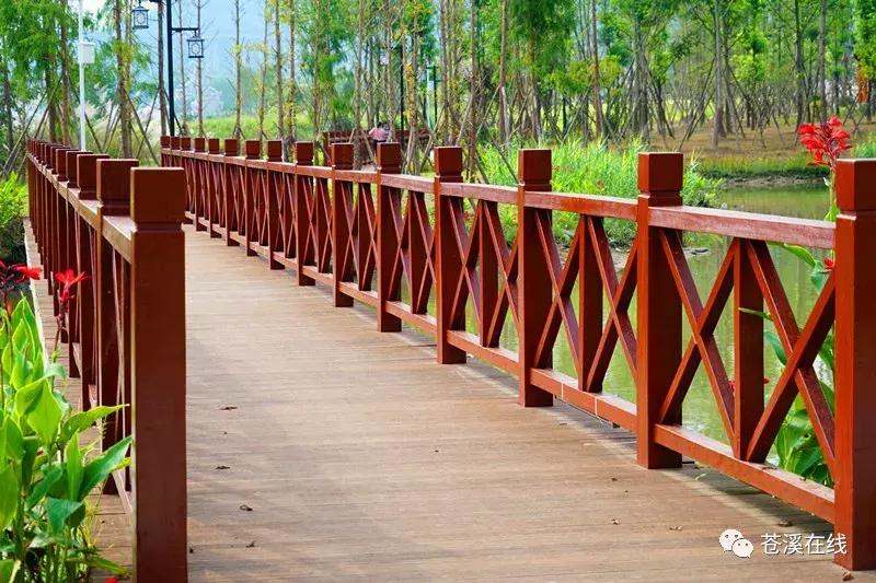 苍溪湿地公园有什么,苍溪最新湿地公园