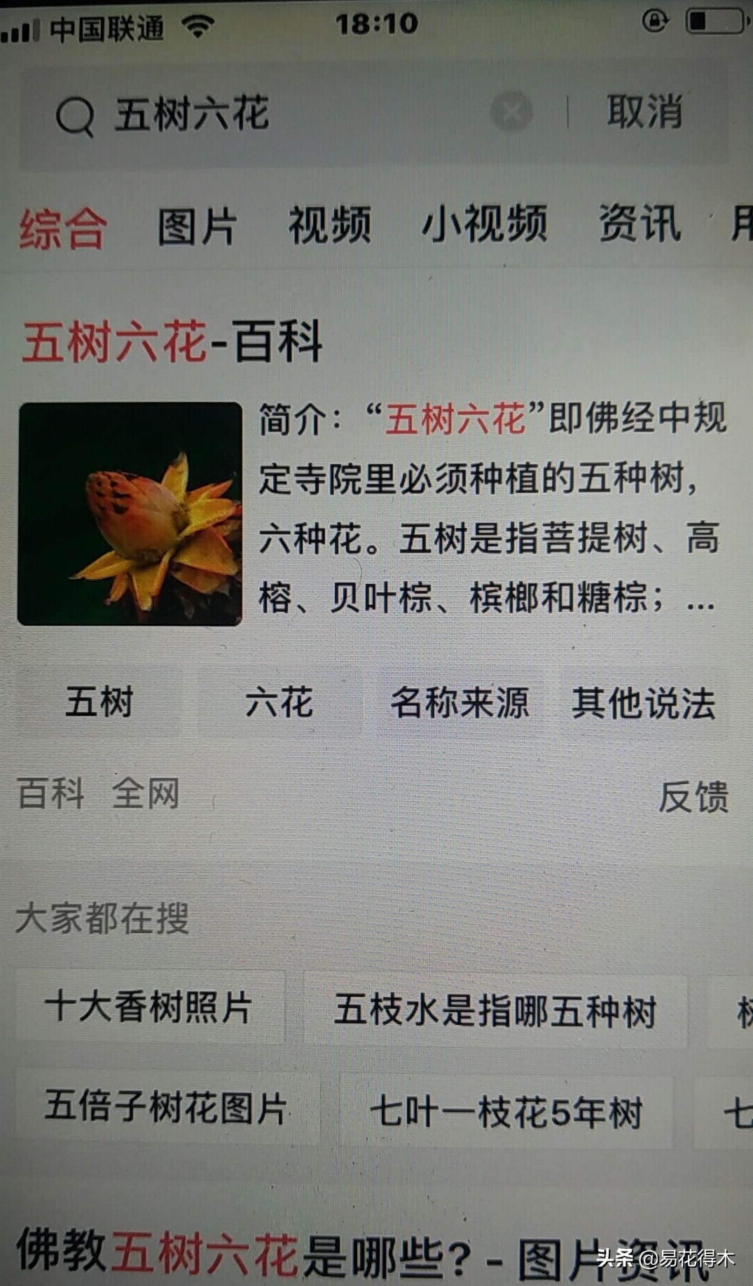 佛教为什么有五树六花,佛教中的五树六花图片