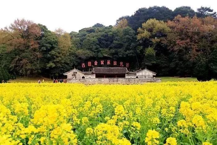 学习古田会议总结,重温红色记忆古田会议