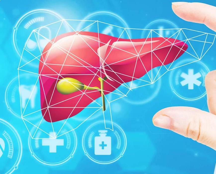 日常生活会传染乙肝不,日常生活接触会传染hpv病毒吗