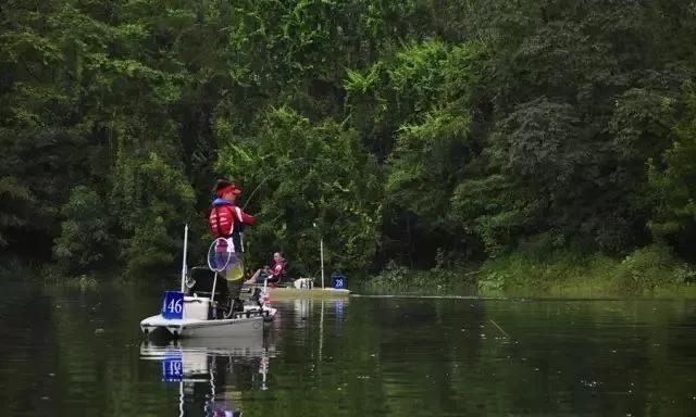 沸水何处觅芳踪？西游记里，白水湖边，灵秀呼之欲出
