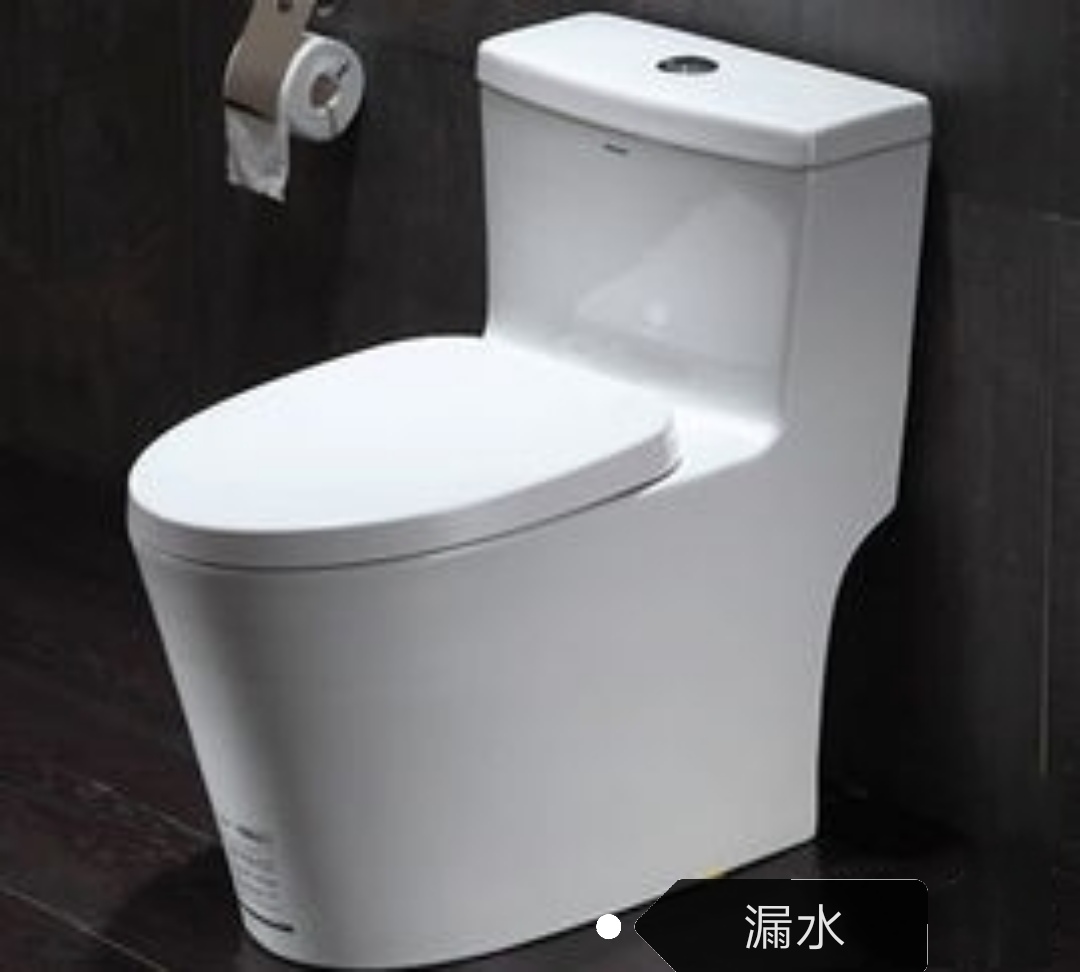 马桶底座边缘漏水会出现小黑虫吗,老马桶一冲水后底座边缘就漏水