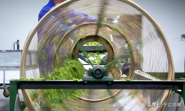 安徽茶产业发展问题,安徽茶发展趋势