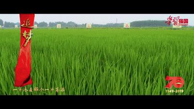 济南市灵山风景区,济南古香古色的景区