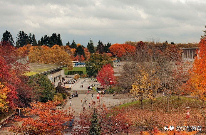 加拿大十大最好的学校,加拿大最受欢迎的专业排名