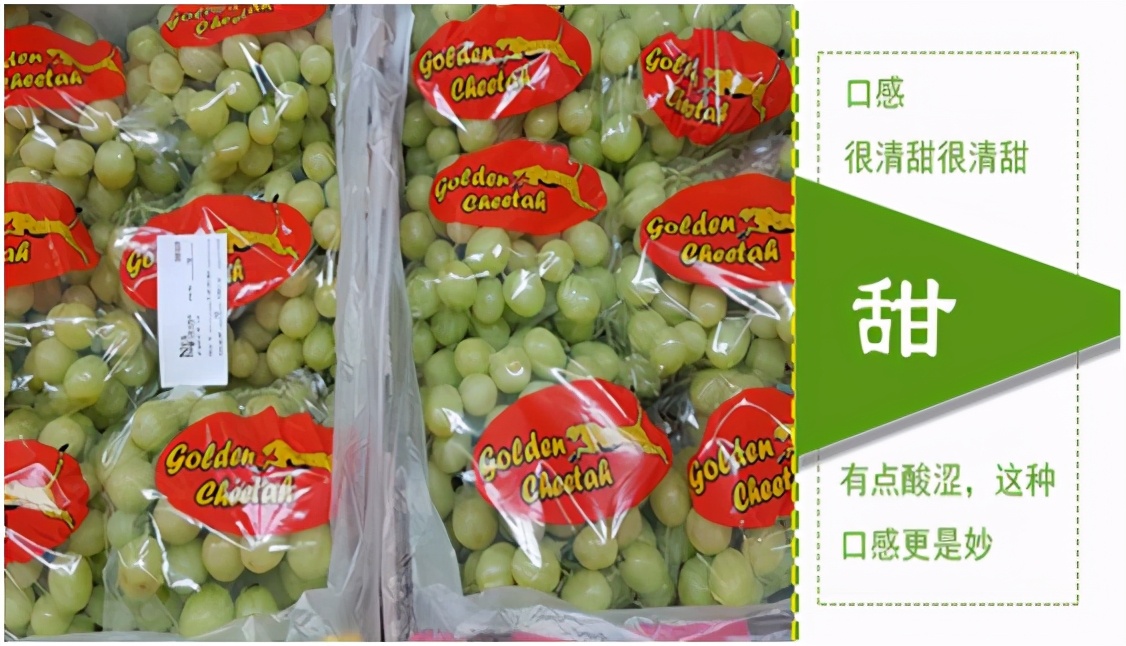 提子品种和介绍 (提子的品种都有哪些)