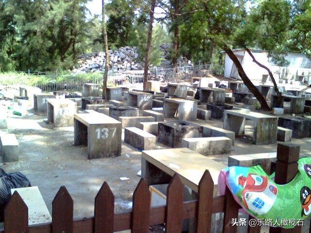 金沙湾海滨旅游风景区,金沙湾生态旅游景区