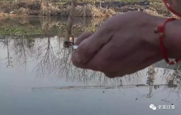 彦淖沟往事------炸鱼