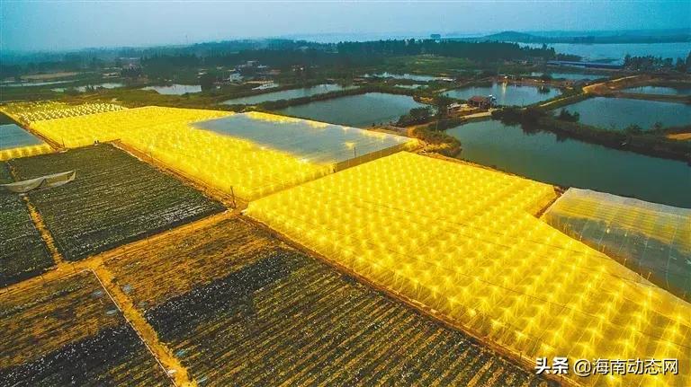 海南东方的位置,海南的东方明珠