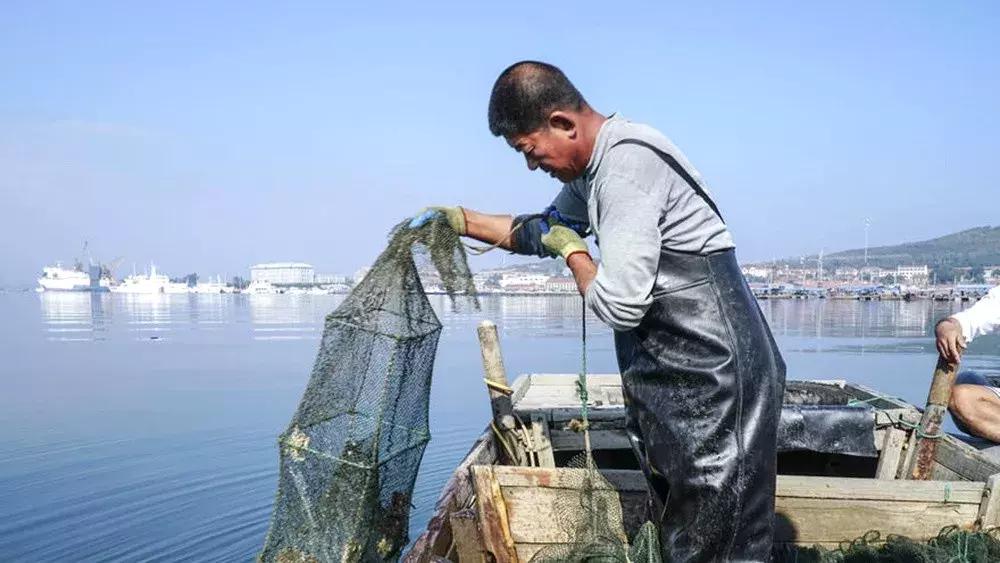 这个夏日25°C的宝藏城市美炸了！海岛、万国建筑、叮叮车..想去
