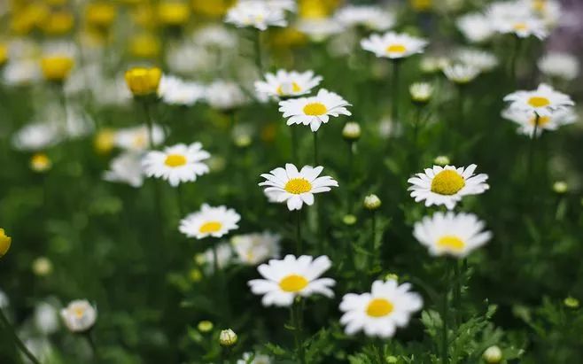 婚姻什么阶段适合要孩子,结婚有了孩子后如何增进夫妻感情