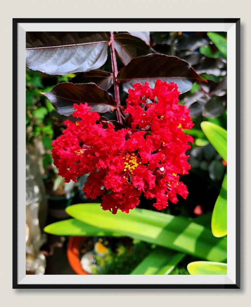 觅友故事|上帝赐我一个儿子，赠我一颗肿瘤