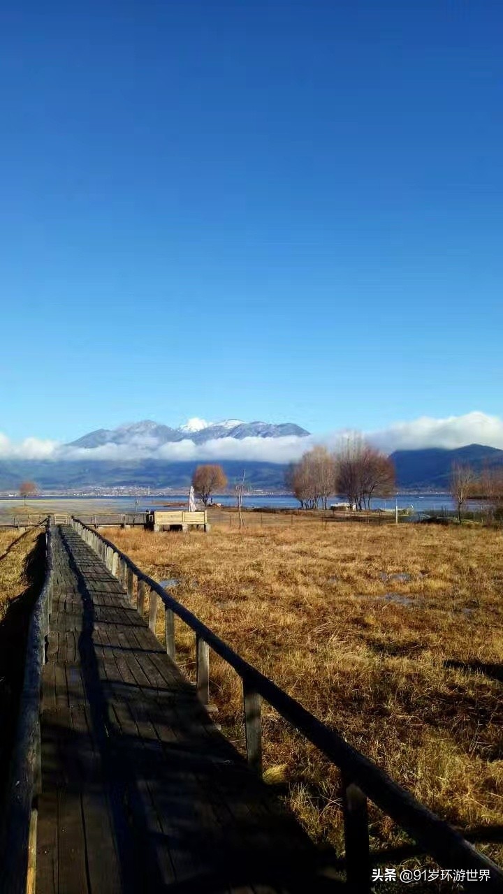 骑马正确压浪教学,骑马推浪教程视频