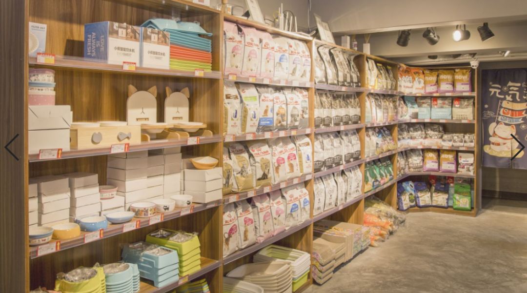 猫舍卖猫这行业为什么这么暴利,猫咪宠物店靠什么盈利