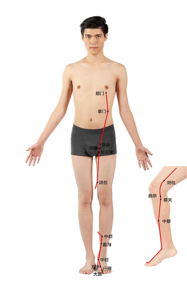腿寒气太重怎么按摩,腿是寒气大本营如何驱寒一步到位